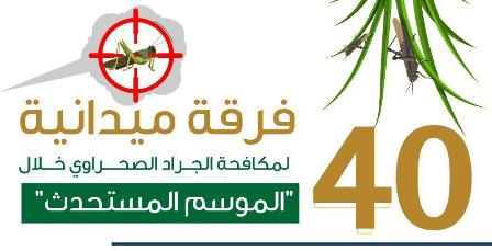 40 فرقة ميدانية لمكافحة الجراد الصحراوي في 4 مناطق