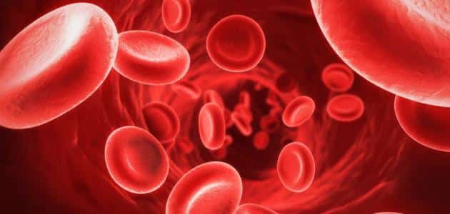تطوير خلايا دم حمراء اصطناعية لحمل الأكسجين والدواء للجسم