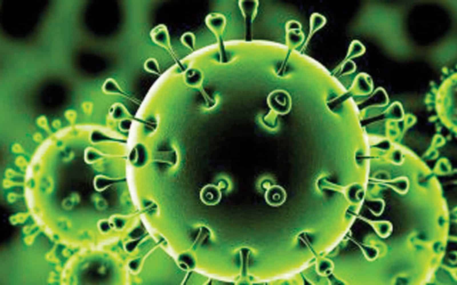فيروس كورونا أصبح أكثر انتشارًا وأقل خطورة!