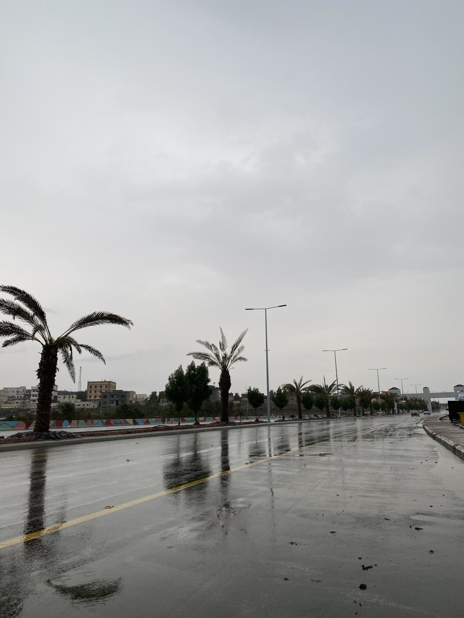 فيديو.. أمطار المساء تلطف أجواء محافظة البرك