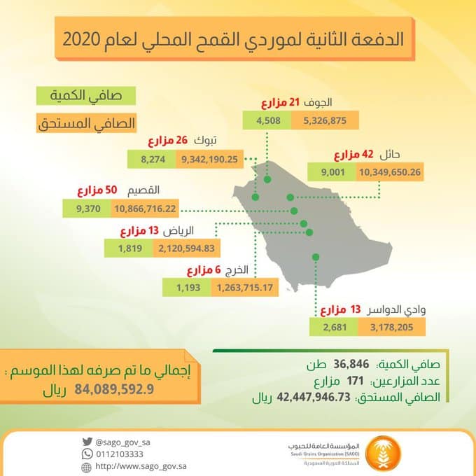 مؤسسة الحبوب تودع 42,447,946.73 ريالًا لمزارعي القمح