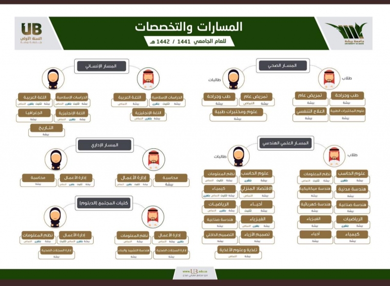 تخصصات جامعة بيشة