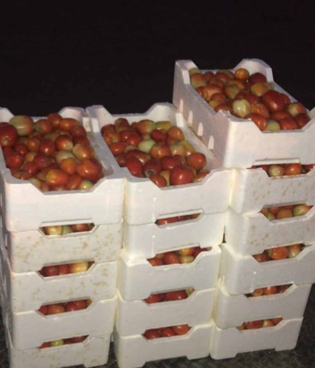 أمانة تبوك تصادر 337 كجم من الأغذية منتهية الصلاحية