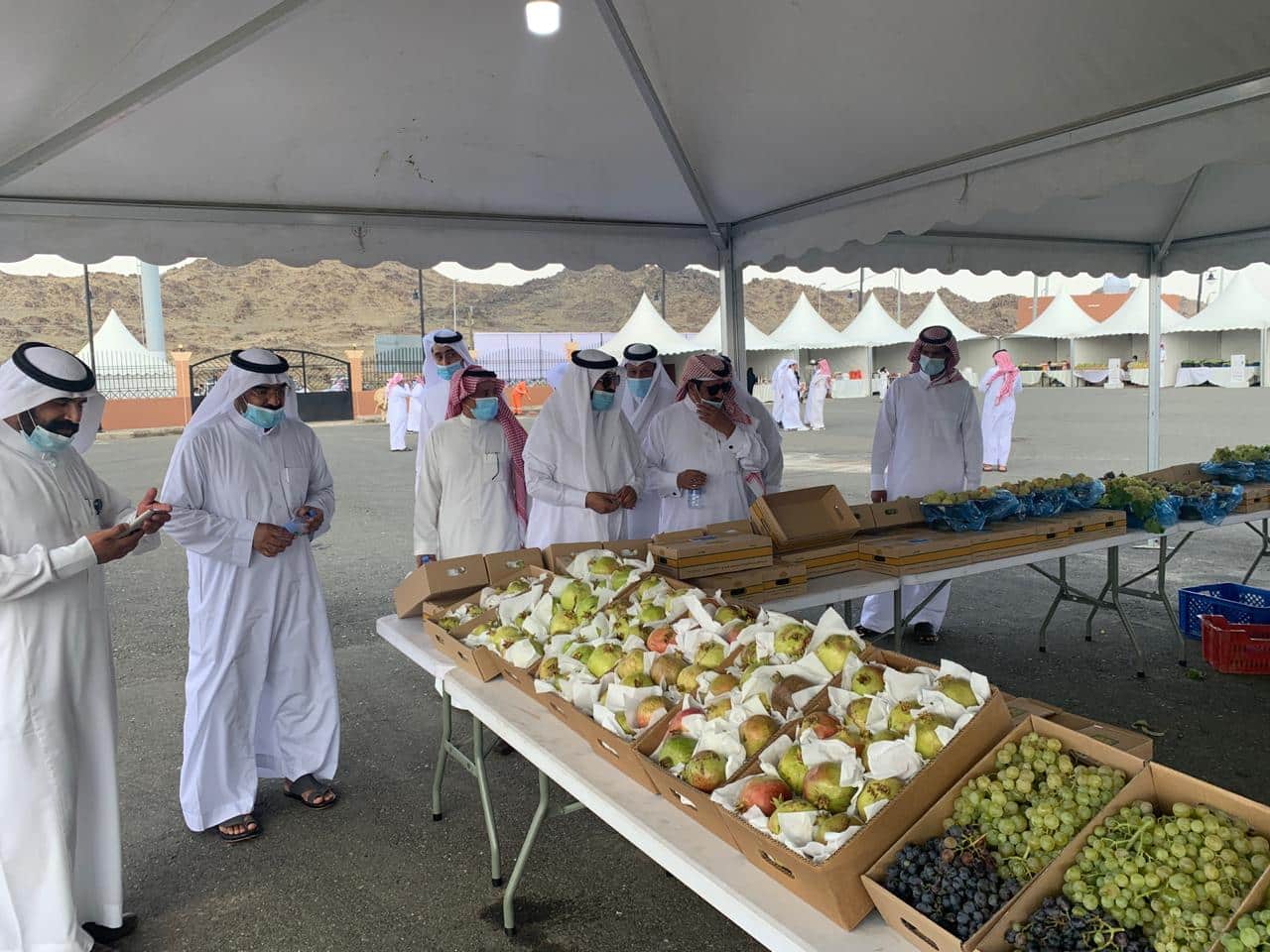 شاهد.. انطلاق مهرجان العنب والفواكه الموسمية الثاني في بللحمر