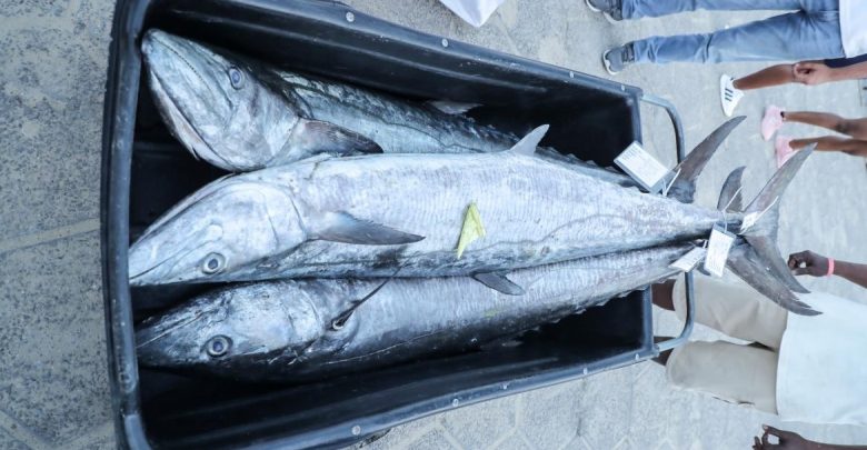 حظر صيد أسماك الكنعد في السعودية لمدة شهرين