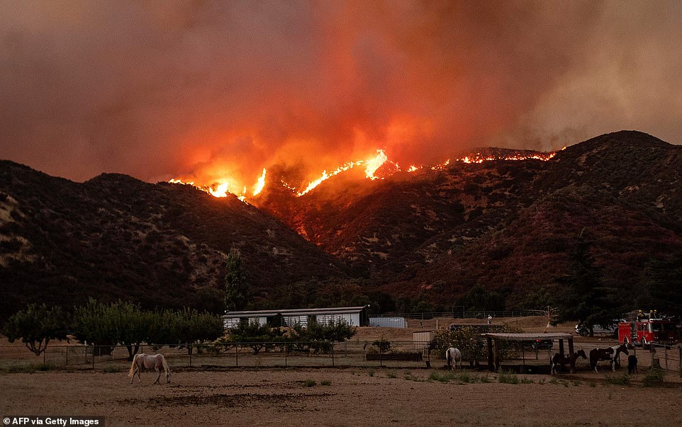 حرائق الغابات تتسبب في إخلاء مئات المنازل بكاليفورنيا