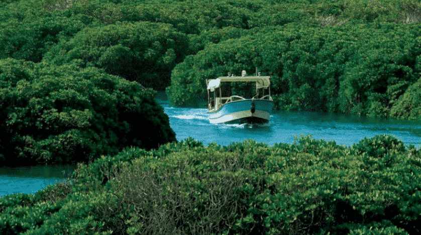 جزر فرسان ضمن برنامج الإنسان والمحيط الحيوي في اليونسكو
