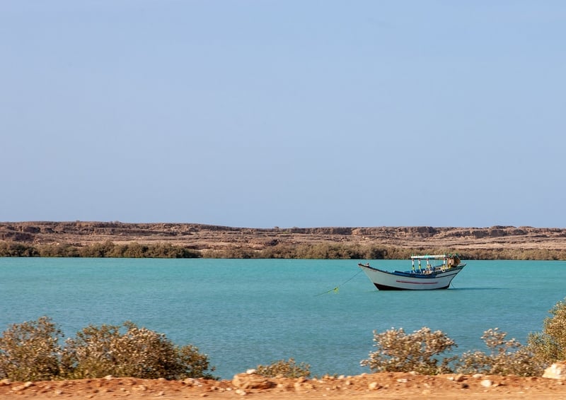 لماذا تستحق محمية جزر فرسان السعودية دخول اليونسكو؟