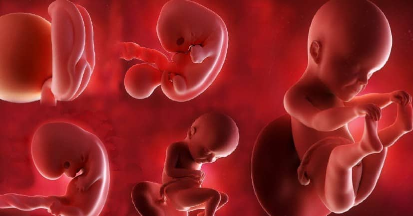 على ماذا تدل كثرة حركة الجنين وهل هي من علامات الولادة