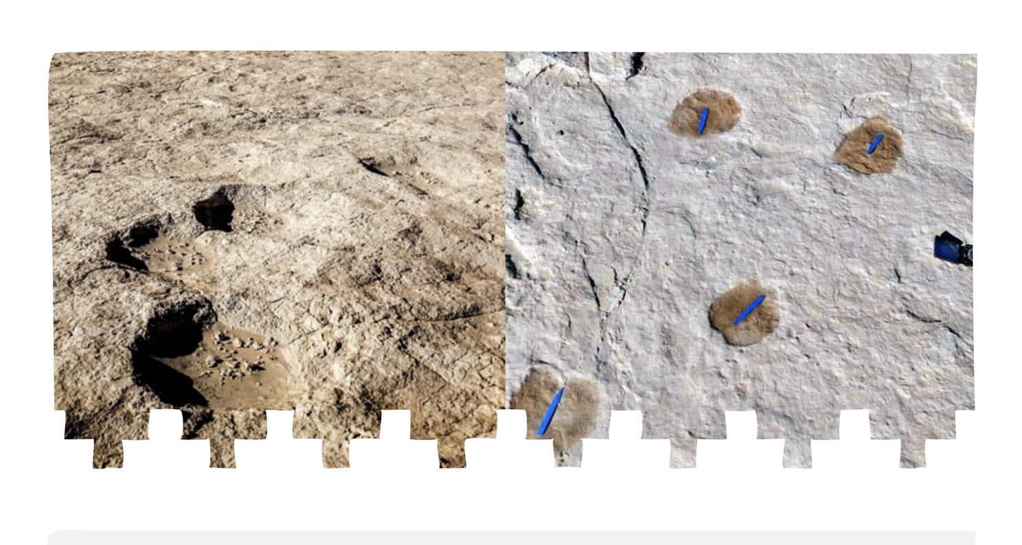 اكتشاف آثار لأقدام بشرية وحيوانية في تبوك تعود لأكثر من 120 ألف سنة