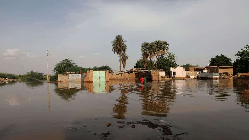 بالفيديو والصور.. كارثة السودان.. اختفاء قرى بأكملها وهجمات للعقارب والثعابين ونوم في العراء