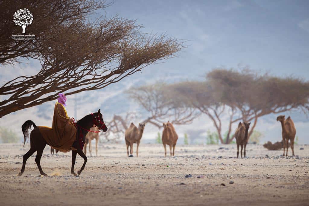 اليوم الوطني الـ90 .. مسك الخيرية تحاكي صورة المؤسس على الفرس عبية