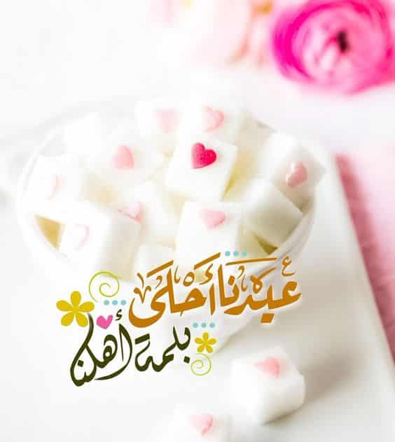 صور كل عام وانتم بخير