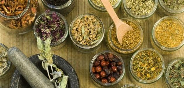 علاج تكيس المبايض بالاعشاب