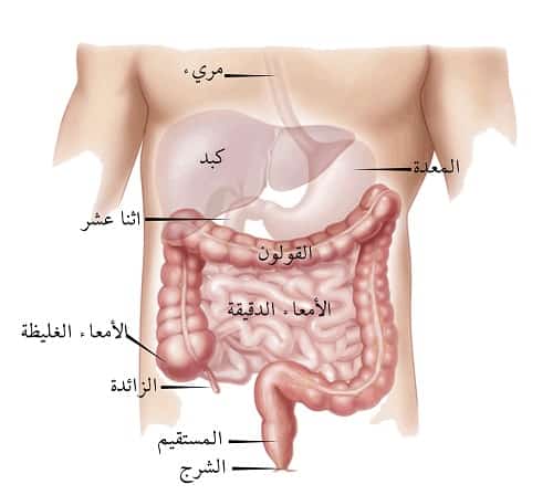 اعراض القولون العصبي النفسية