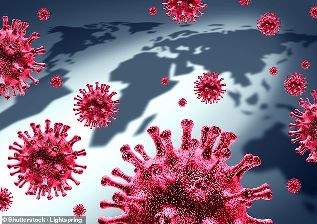 المناعة البشرية تنتج أجسام مضادة قوية تحارب فيروس كورونا