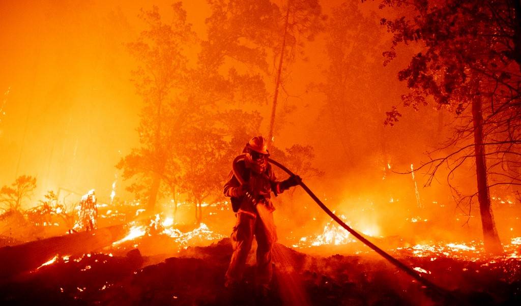34 شخصًا حصيلة ضحايا حرائق الغابات بالجزائر