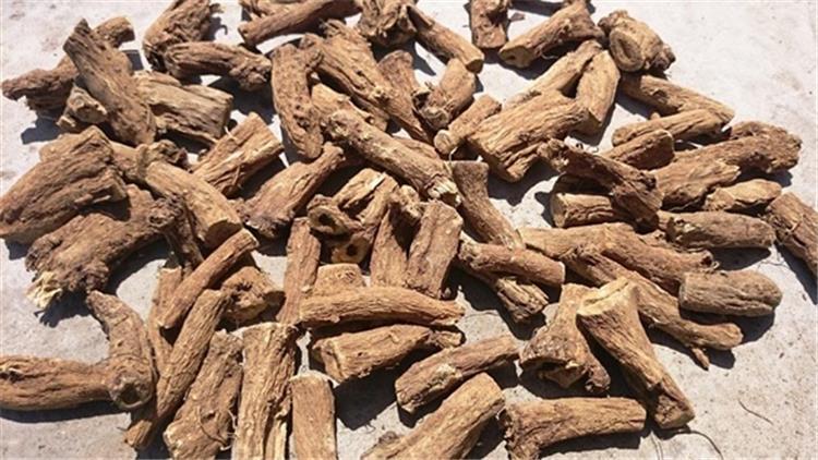 القسط الهندي والغدة الدرقية