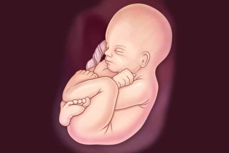 شكل اجهاض الجنين في الاسبوع الاول قبل الدوره