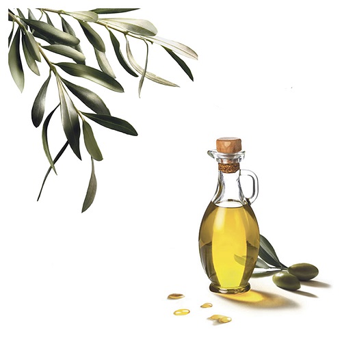 علاج حساسية الانف بزيت الزيتون
