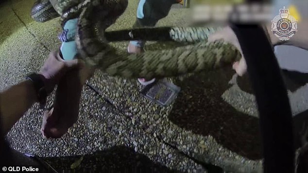 فيديو.. لحظة مرعبة لثعبان ضخم يحاول التهام فتاة حاولت إنقاذه 