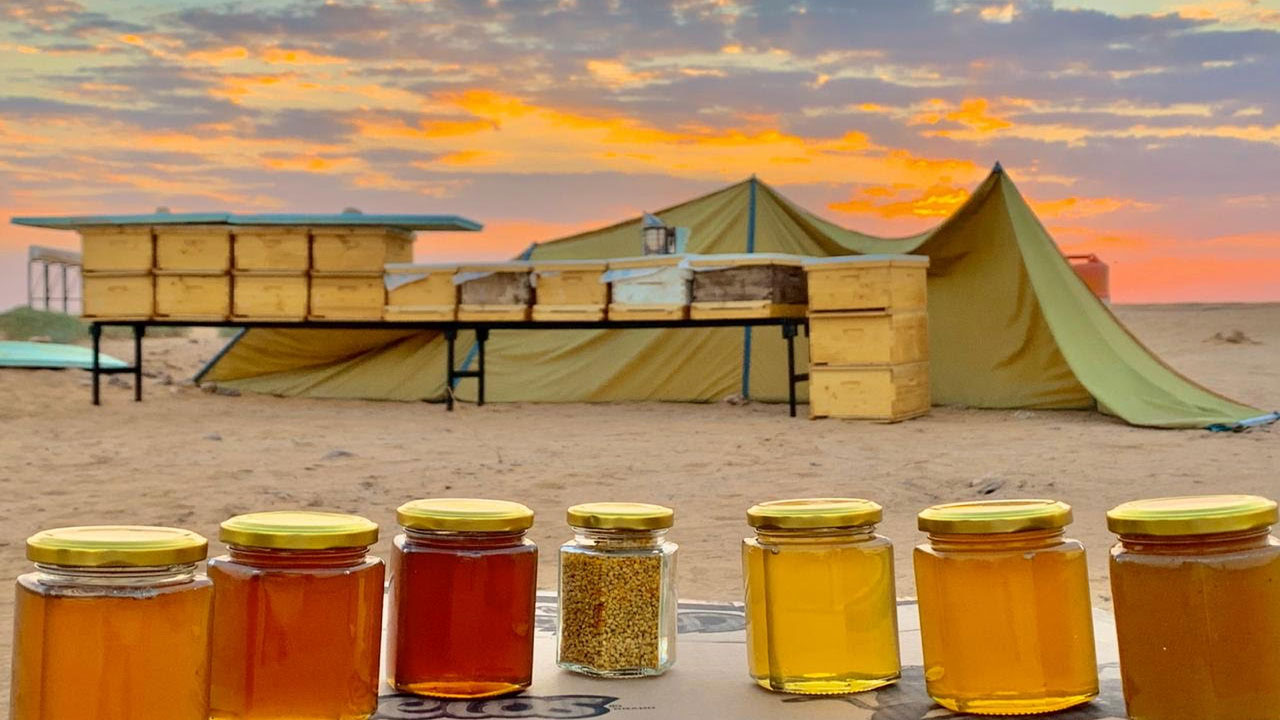 غدًا.. انطلاق مهرجان أيام العسل في الجوف