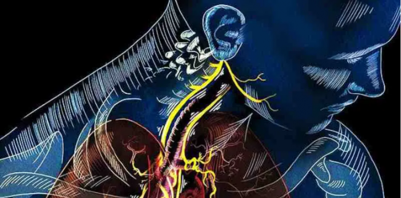 7 طرق لتحفيز العصب المبهم لمكافحة الالتهاب والاكتئاب والصداع النصفي (1)