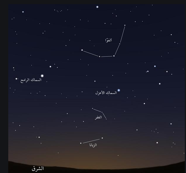 الحصيني: اليوم تبدأ ليالي موسم الزبانا.. أمطار وتزداد البرودة ليلاً