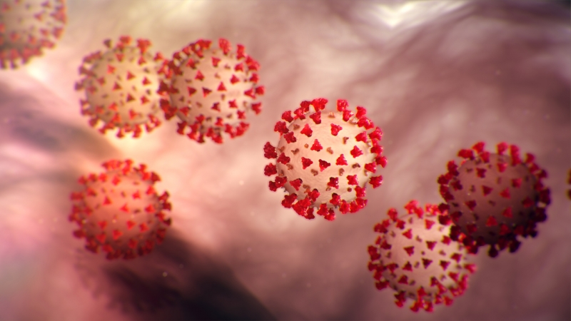 اكتشاف مثير.. فيروس كوفيد-19 يستطيع خداع البشر وتجنيدهم لنشر العدوى  (4)