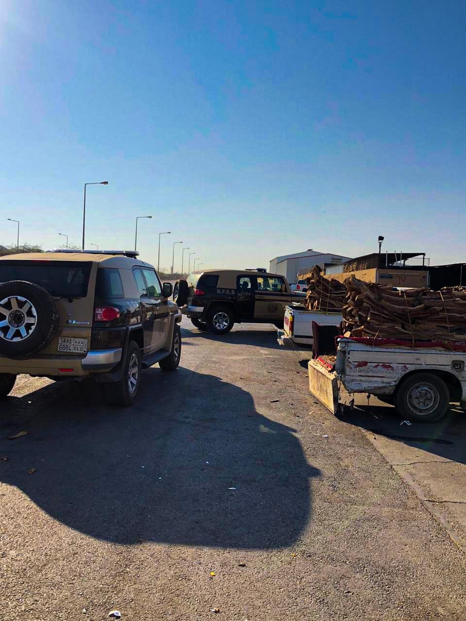 ضبط 10 مخالفين بحوزتهم 12,5 طن من الحطب المحلي في الرياض