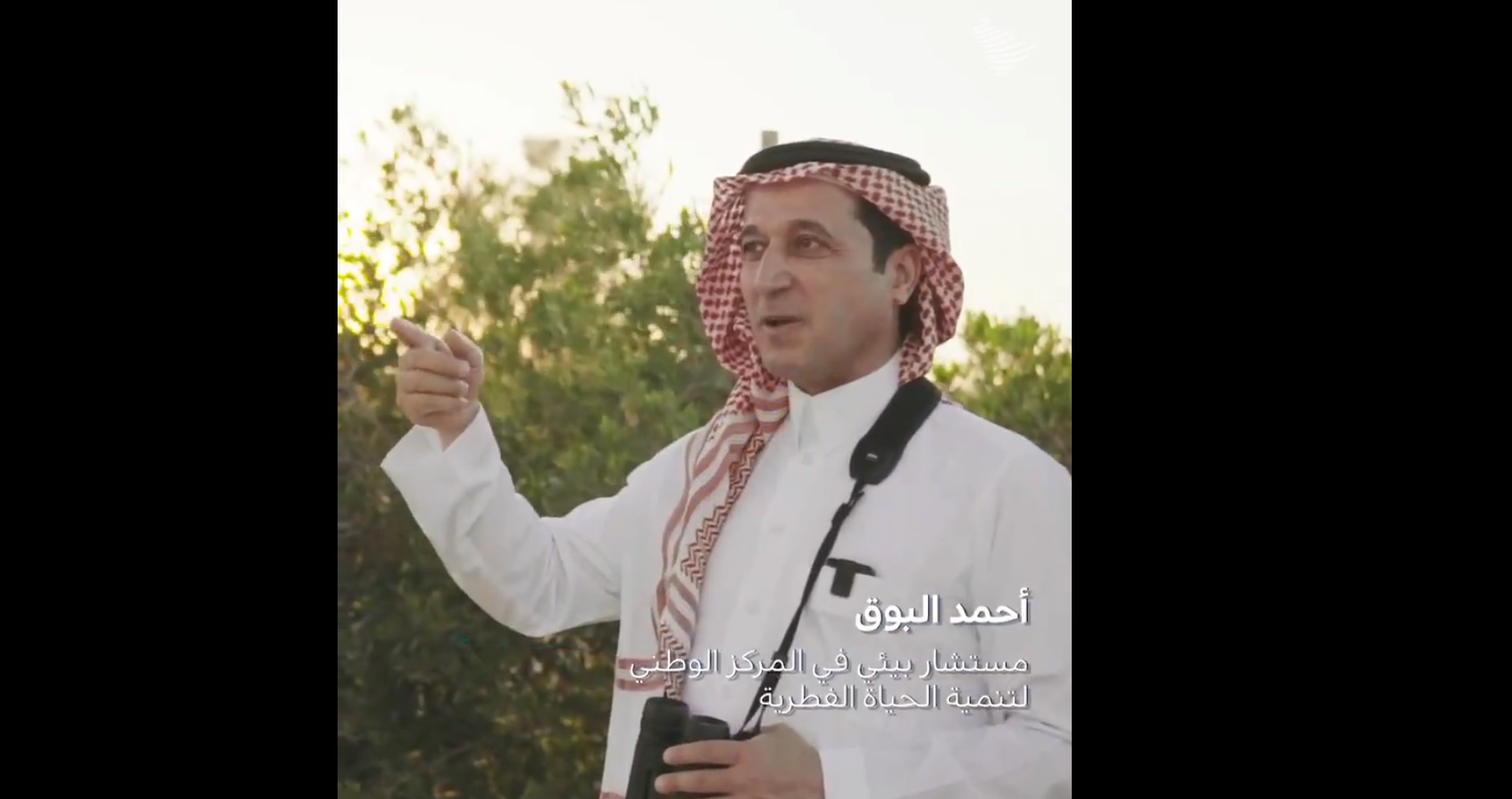 فيديو.. كيف استطاع أحمد البوق إنقاذ نفسه من هجوم 400 قرد بابون؟