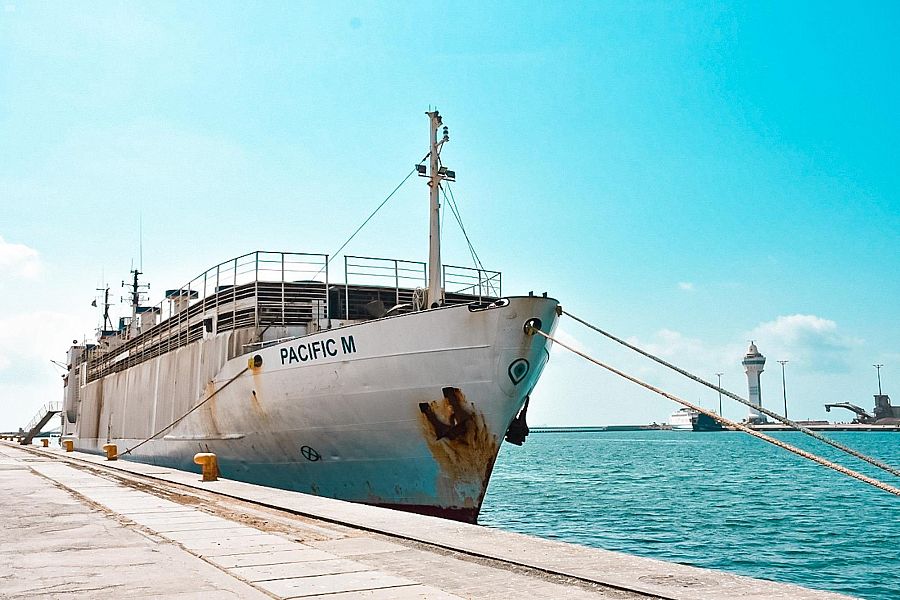 ميناء جازان يستقبل أول شحنة أنعام من رومانيا بـ12 ألف رأس | صحيفة ...