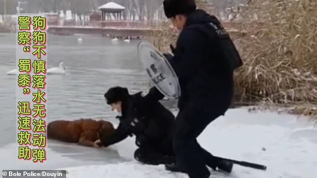لقطة إنسانية لضابطين ينقذان كلبًا من بحيرة مجمدة
