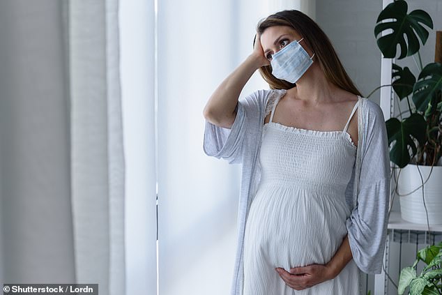 النساء الحوامل لا ينقلن فيروس كورونا إلى أطفالهن
