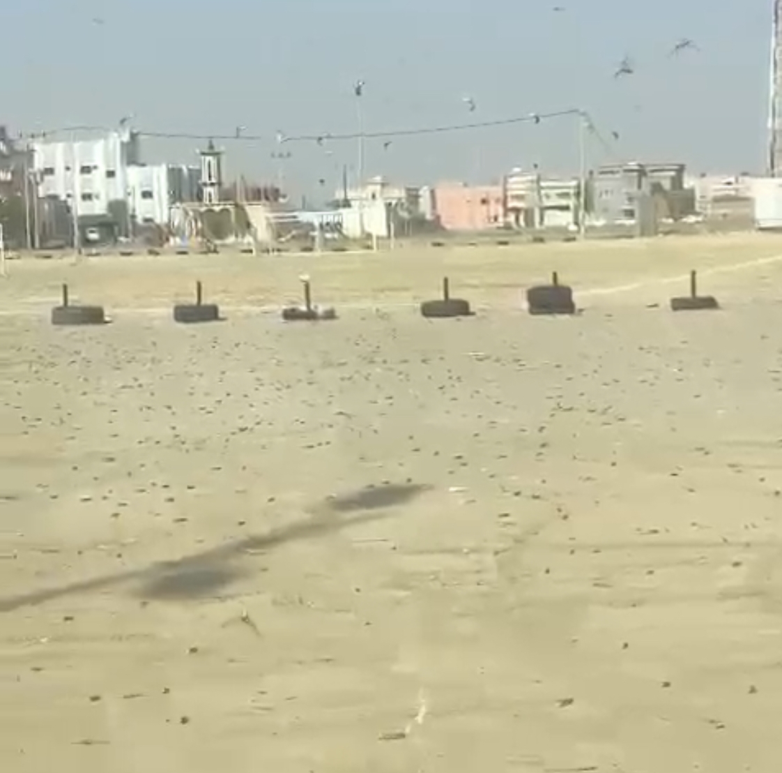 فيديو.. أسراب الجراد تغزو قرى جنوب مركز حلي بالقنفذة