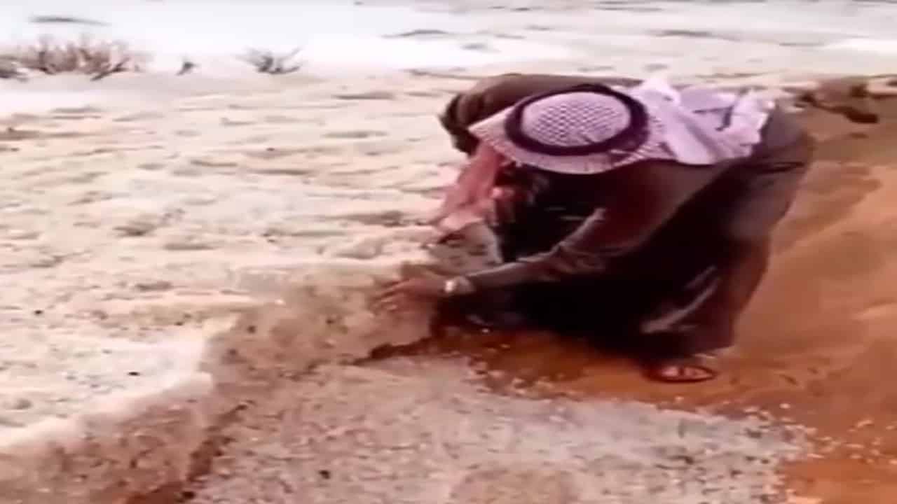 فيديو.. بردية سُمكها 40 سم تغطي الأرض شمال السعودية