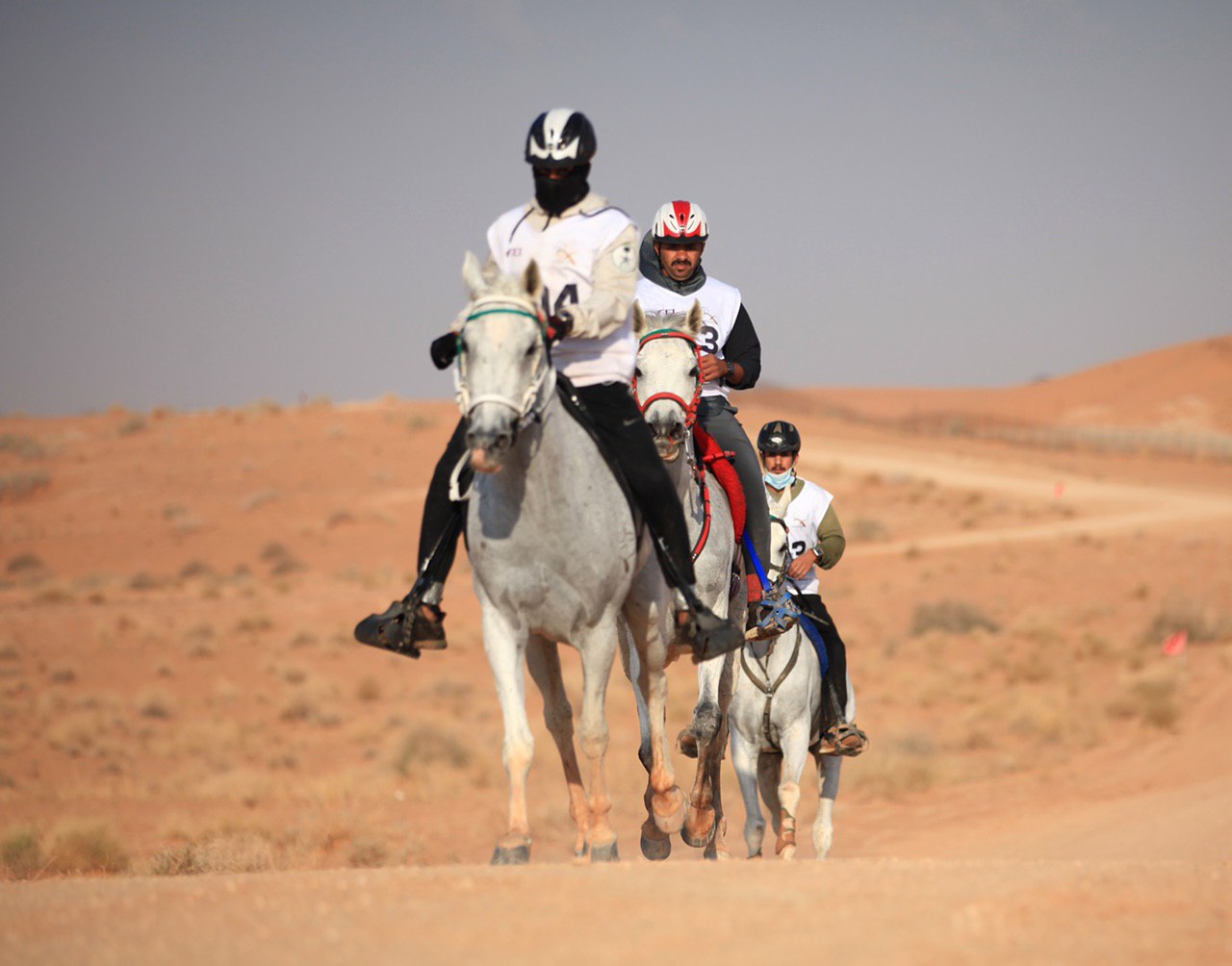 عبدالله بن فهد يتوج البادي بكأس وزارة الرياضة الدولي للقدرة والتحمل