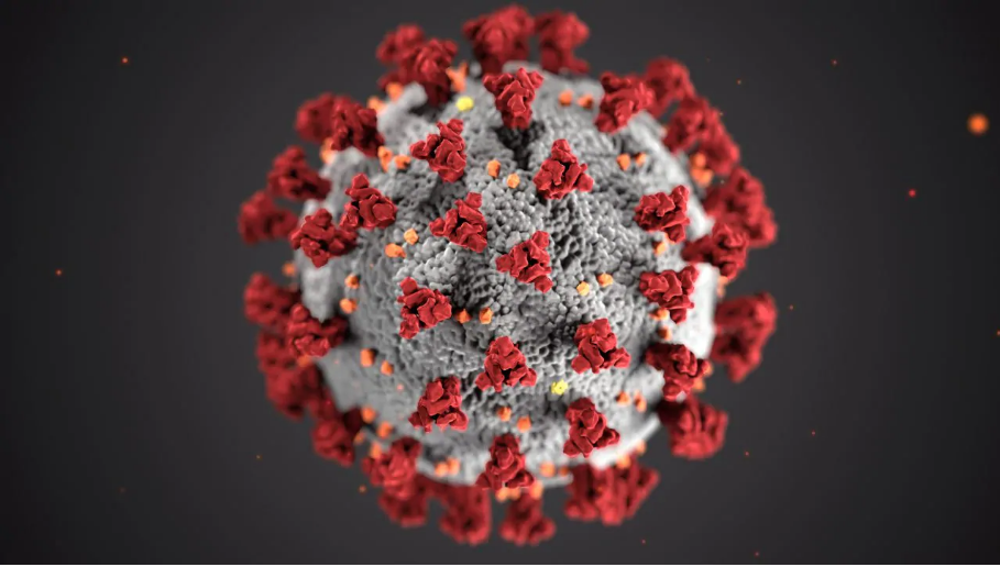 ما تأثير اللقاحات المرخصة على السلالة الجديدة من فيروس كورونا ؟
