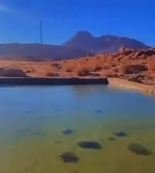 فيديو.. تجمد المياه بـ جبل اللوز شمال غرب تبوك