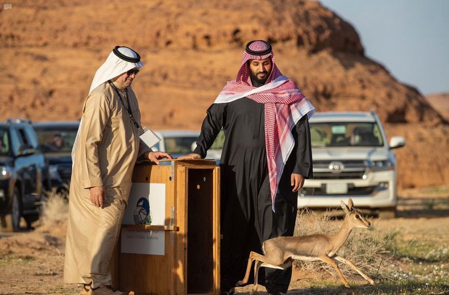 رؤية طموحة لـ العلا تحفظ تاريخها وتطور الإنسان وتصون المكان