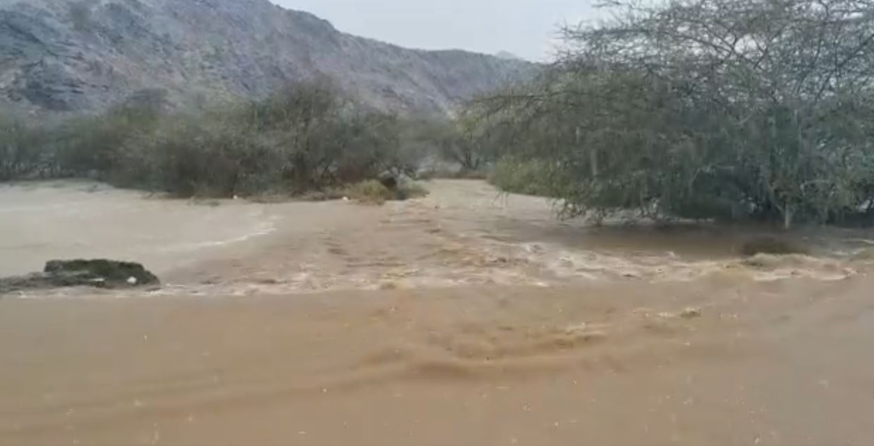 فيديو.. أمطار غزيرة وسيول خميس حرب في القنفذة