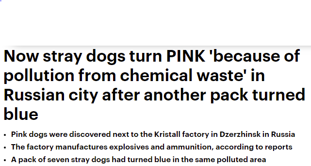 الكلاب تتحول للون الوردي والأزرق في روسيا فما السبب؟