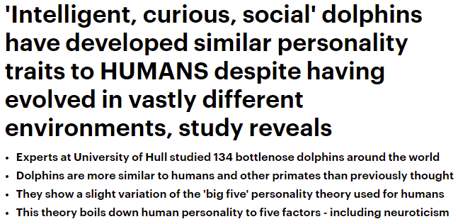 الدلافين لها صفات مشابهة للإنسان