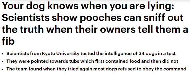 الكلاب اكتسبت ذكاءًا اجتماعيًا بسبب معيشتهم مع البشر