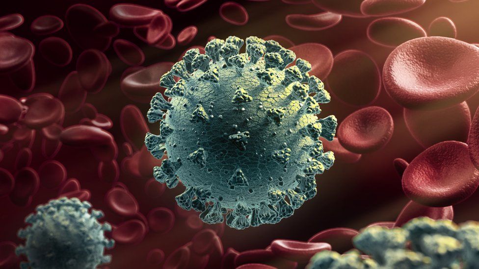 هل تحور فيروس كورونا يزيد خطورته؟ 