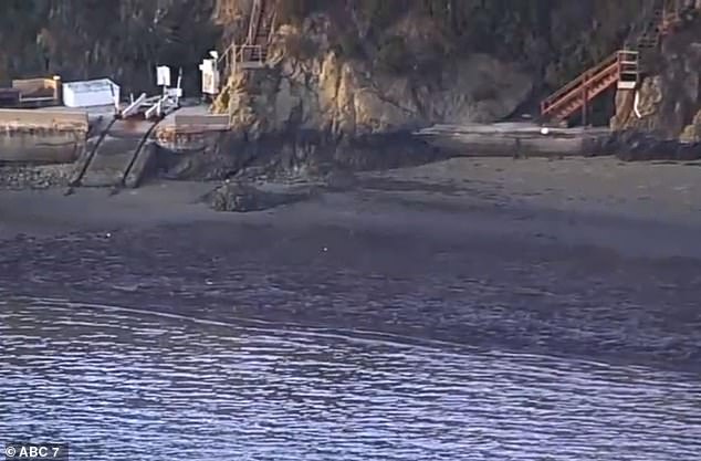 فيديو.. كارثة بيئية في خليج سان فرانسيسكو (2)
