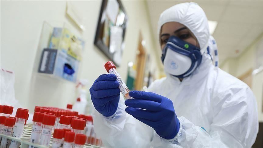 137929 إجمالي إصابات فيروس كورونا في سلطنة عمان