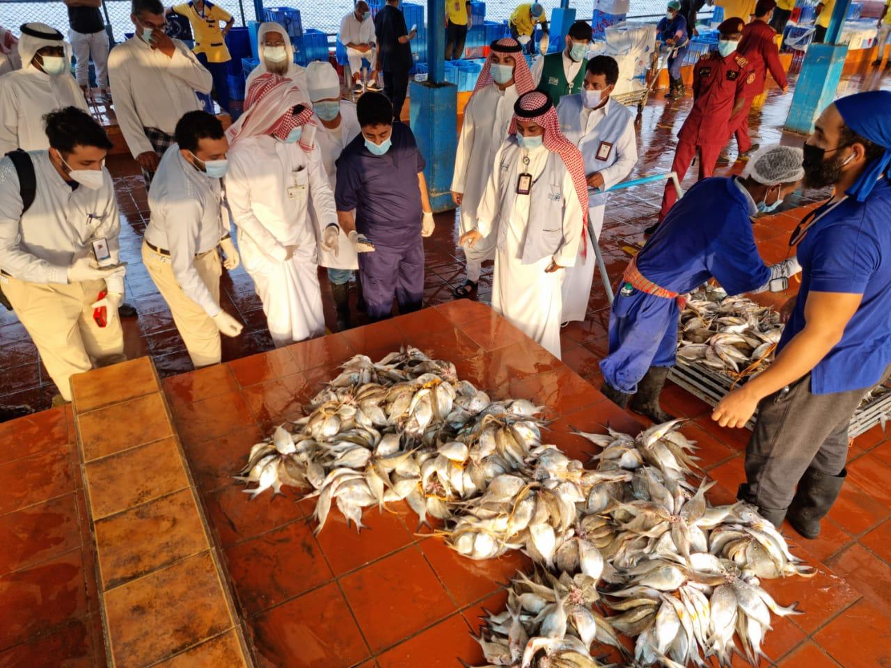 مصادرة وإتلاف 644 كجم أسماك فاسدة بالسوق المركزي بجدة