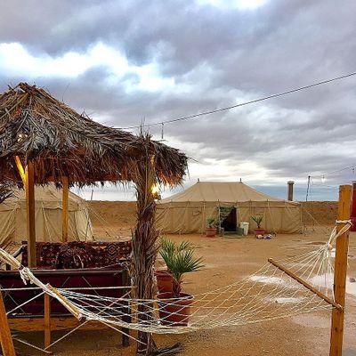 رفع نسبة الحجوزات بالمخيمات في المدينة المنورة بالتزامن مع العيد