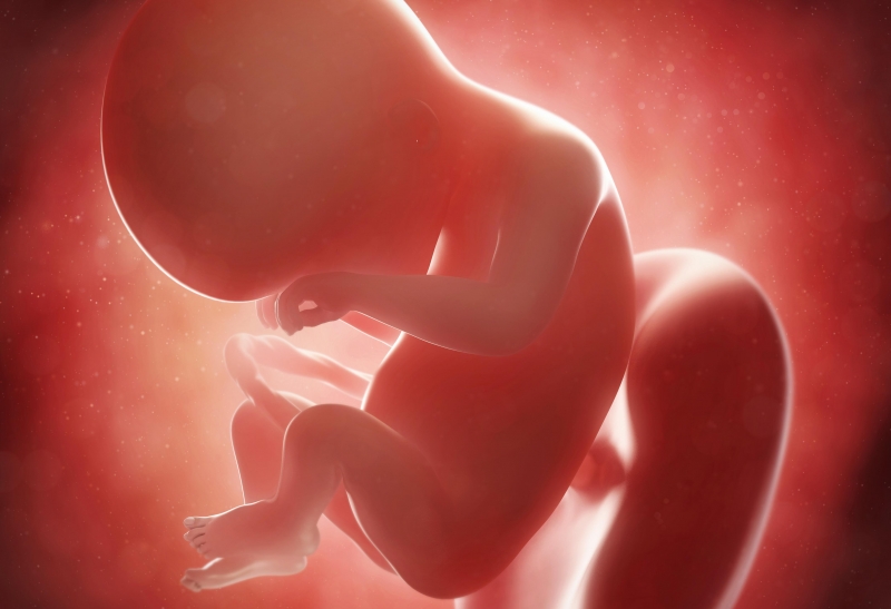 بشرى علمية بشأن تلقيح الحوامل والمرضعات